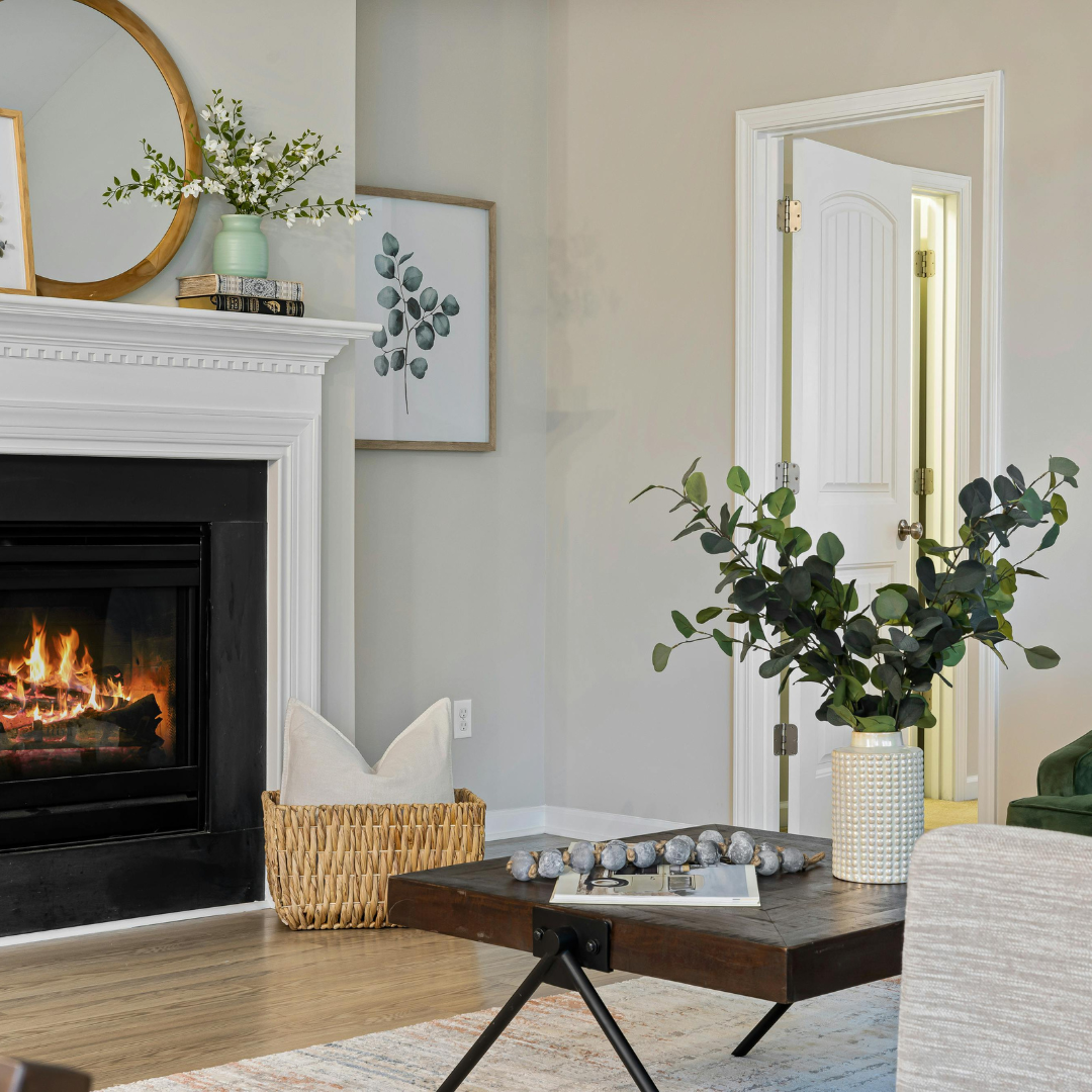 Llar Detox: 5 plantes purificadores per renovar la casa després de Nadal